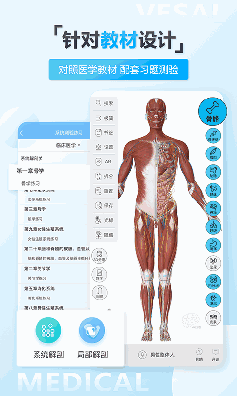 維薩里3D解剖教學
