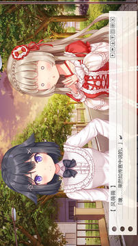 纸片人女友
