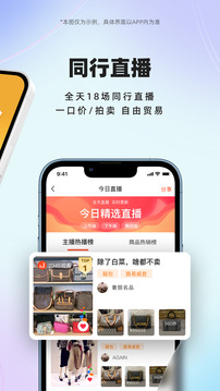 小桔馬