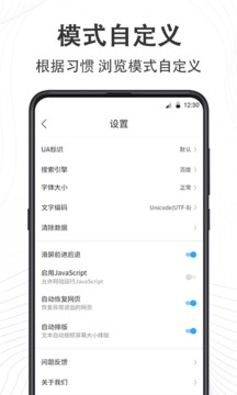 極速瀏覽器