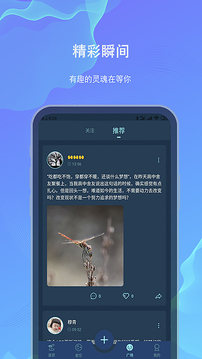 白日夢