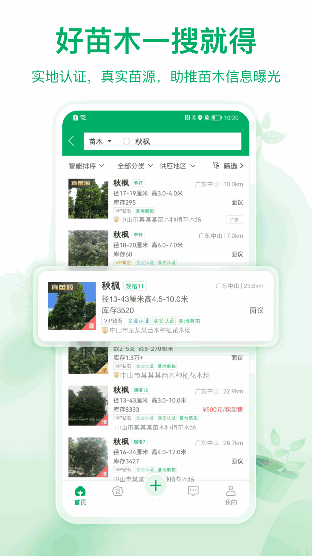苗倉(cāng)