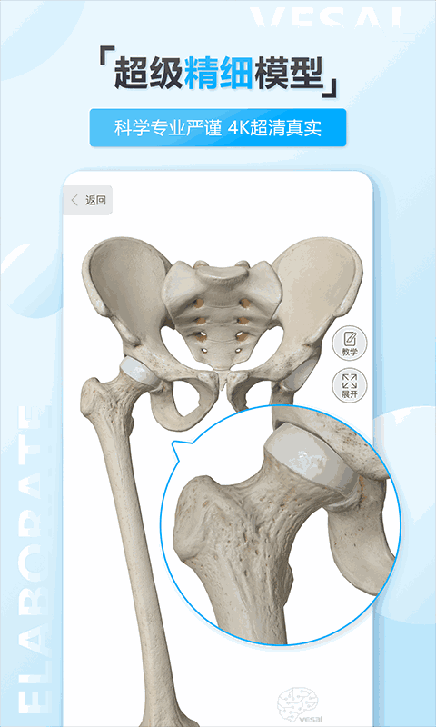 維薩里3D解剖教學