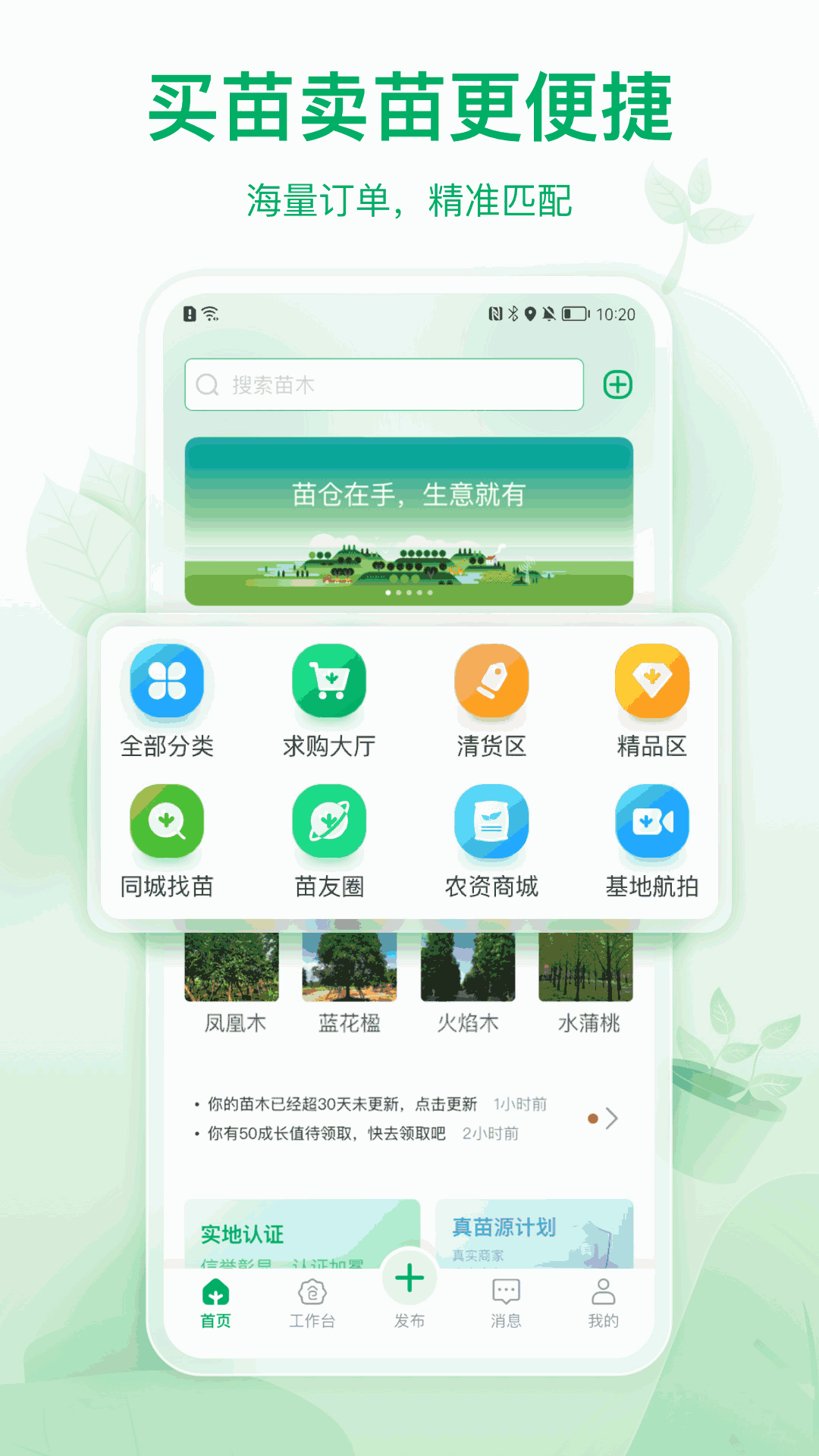 苗倉(cāng)