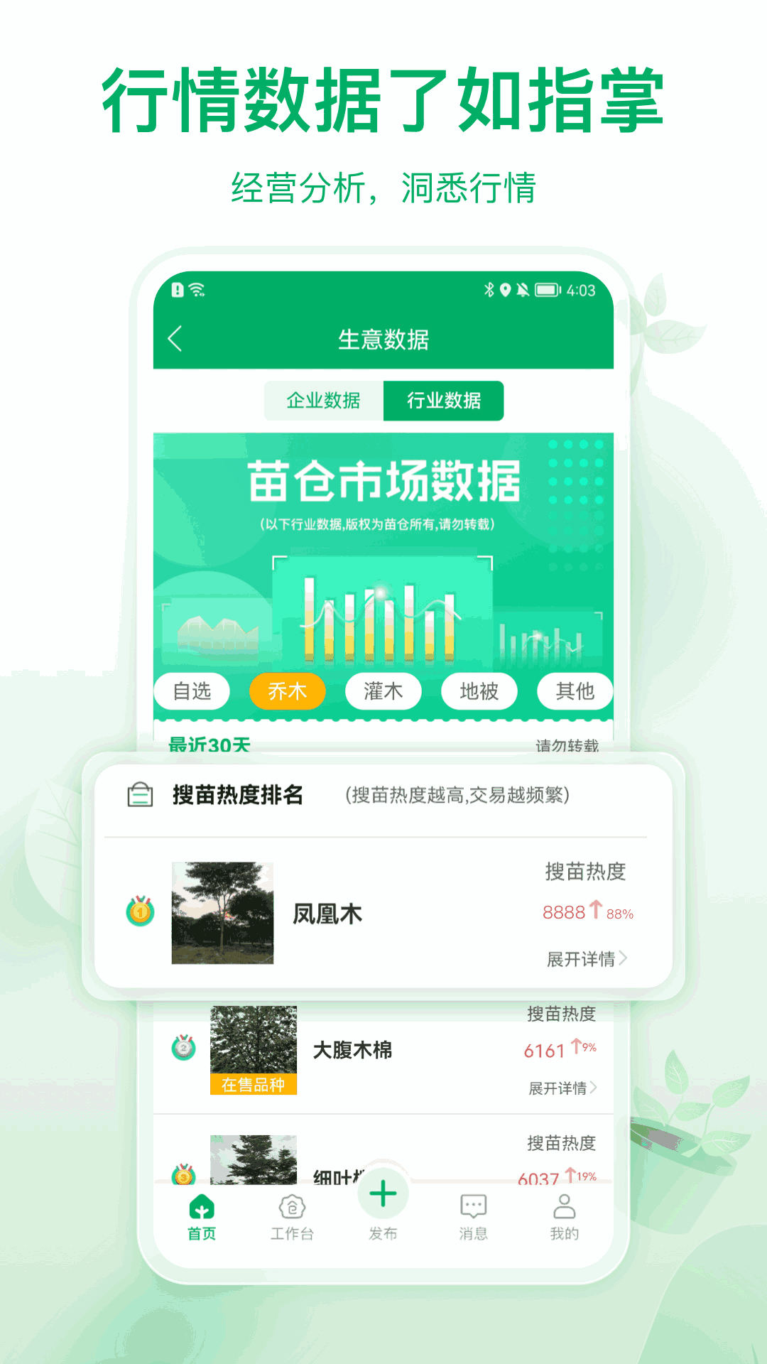苗倉(cāng)