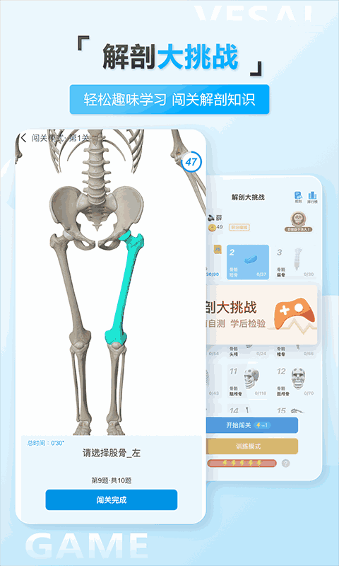 維薩里3D解剖教學