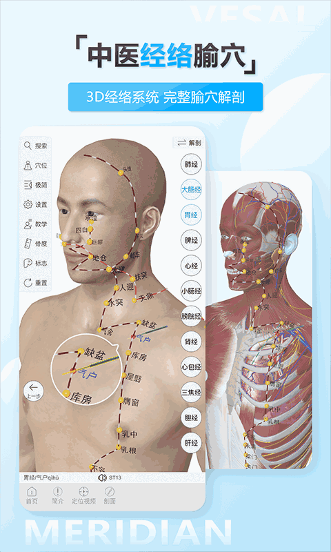 維薩里3D解剖教學